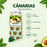 Calcetines de aguacate