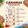 Pintaderas Socks
