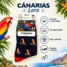 Calcetines de loros