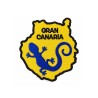 Parche térmico bordado Gran Canaria Lagarto
